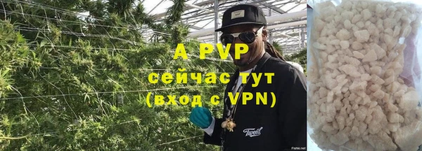 амф Беломорск