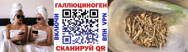 цена   Плёс  Галлюциногенные грибы ЛСД 