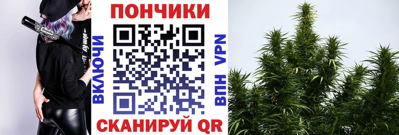 Бошки Шишки OG Kush  хочу наркоту  Плёс 